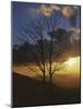 Sunset from Appalachian Trail, Shenandoah National Park, Virginia, USA-Charles Gurche-Mounted Photographic Print