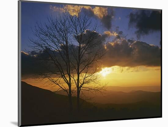 Sunset from Appalachian Trail, Shenandoah National Park, Virginia, USA-Charles Gurche-Mounted Photographic Print