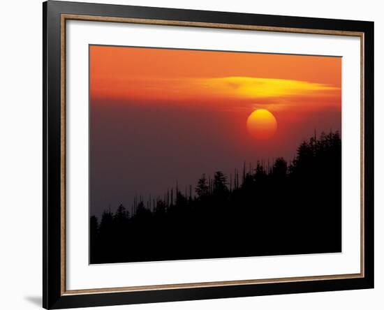 Sunset from Clingmans Dome, Great Smoky Mountains National Park, Tennessee, USA-Joanne Wells-Framed Photographic Print