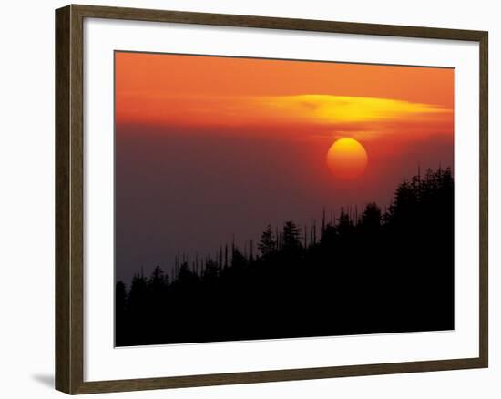 Sunset from Clingmans Dome, Great Smoky Mountains National Park, Tennessee, USA-Joanne Wells-Framed Photographic Print