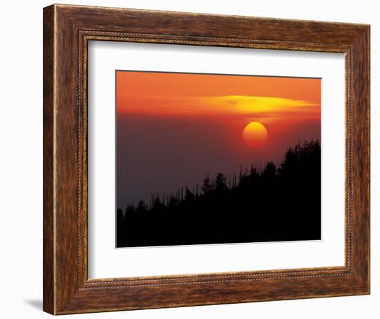 Sunset from Clingmans Dome, Great Smoky Mountains National Park, Tennessee, USA-Joanne Wells-Framed Photographic Print