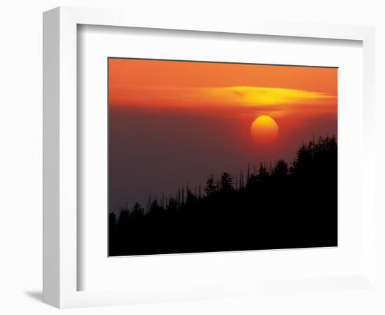 Sunset from Clingmans Dome, Great Smoky Mountains National Park, Tennessee, USA-Joanne Wells-Framed Photographic Print