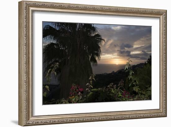 Sunset from Gardens over the Sea, Funchal, Madeira, Portugal. Palm Trees and Flowers in View-Natalie Tepper-Framed Photo