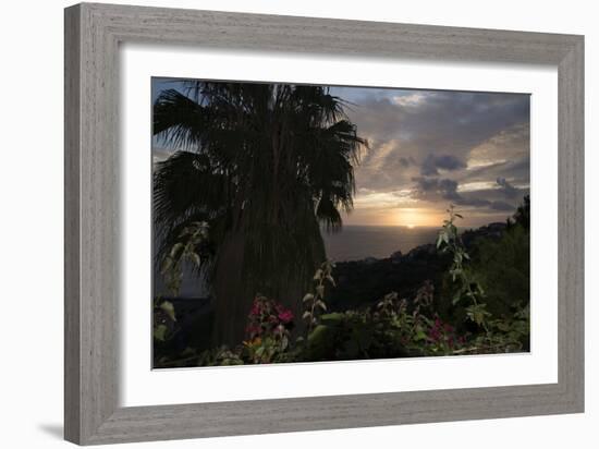 Sunset from Gardens over the Sea, Funchal, Madeira, Portugal. Palm Trees and Flowers in View-Natalie Tepper-Framed Photo