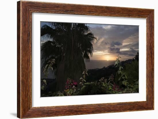 Sunset from Gardens over the Sea, Funchal, Madeira, Portugal. Palm Trees and Flowers in View-Natalie Tepper-Framed Photo