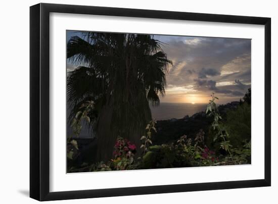 Sunset from Gardens over the Sea, Funchal, Madeira, Portugal. Palm Trees and Flowers in View-Natalie Tepper-Framed Photo