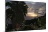 Sunset from Gardens over the Sea, Funchal, Madeira, Portugal. Palm Trees and Flowers in View-Natalie Tepper-Mounted Photo