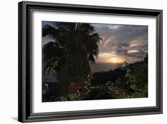 Sunset from Gardens over the Sea, Funchal, Madeira, Portugal. Palm Trees and Flowers in View-Natalie Tepper-Framed Photo