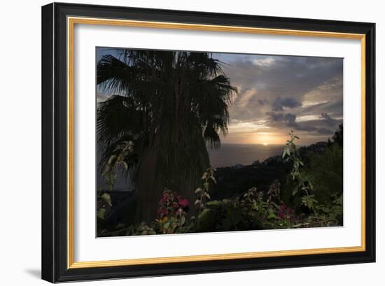 Sunset from Gardens over the Sea, Funchal, Madeira, Portugal. Palm Trees and Flowers in View-Natalie Tepper-Framed Photo