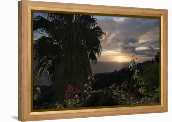 Sunset from Gardens over the Sea, Funchal, Madeira, Portugal. Palm Trees and Flowers in View-Natalie Tepper-Framed Stretched Canvas