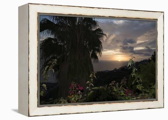 Sunset from Gardens over the Sea, Funchal, Madeira, Portugal. Palm Trees and Flowers in View-Natalie Tepper-Framed Stretched Canvas