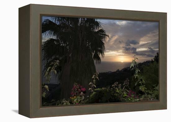 Sunset from Gardens over the Sea, Funchal, Madeira, Portugal. Palm Trees and Flowers in View-Natalie Tepper-Framed Stretched Canvas