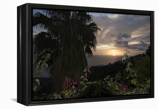 Sunset from Gardens over the Sea, Funchal, Madeira, Portugal. Palm Trees and Flowers in View-Natalie Tepper-Framed Stretched Canvas