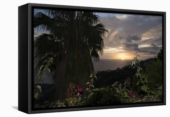 Sunset from Gardens over the Sea, Funchal, Madeira, Portugal. Palm Trees and Flowers in View-Natalie Tepper-Framed Stretched Canvas