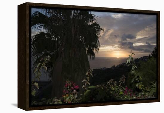 Sunset from Gardens over the Sea, Funchal, Madeira, Portugal. Palm Trees and Flowers in View-Natalie Tepper-Framed Stretched Canvas