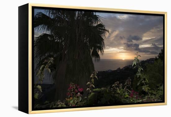 Sunset from Gardens over the Sea, Funchal, Madeira, Portugal. Palm Trees and Flowers in View-Natalie Tepper-Framed Stretched Canvas