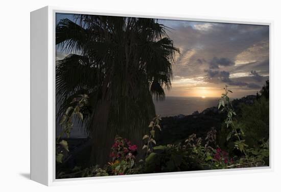 Sunset from Gardens over the Sea, Funchal, Madeira, Portugal. Palm Trees and Flowers in View-Natalie Tepper-Framed Stretched Canvas