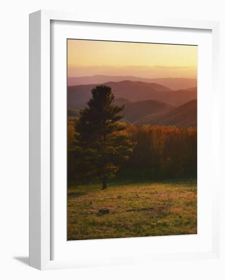 Sunset from Hazeltop Ridge, Shenandoah National Park, Virginia, USA-Charles Gurche-Framed Photographic Print