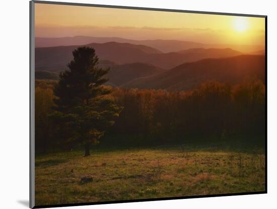 Sunset from Hazeltop Ridge, Shenandoah National Park, Virginia, USA-Charles Gurche-Mounted Photographic Print