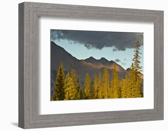 Sunset, from Kicking Horse River, Canadian Rockies, Yoho National Park, British Columbia, Canada-Michel Hersen-Framed Photographic Print