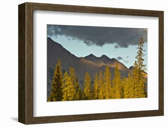 Sunset, from Kicking Horse River, Canadian Rockies, Yoho National Park, British Columbia, Canada-Michel Hersen-Framed Photographic Print