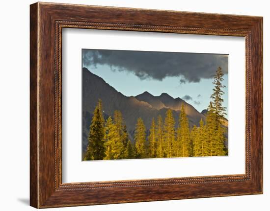 Sunset, from Kicking Horse River, Canadian Rockies, Yoho National Park, British Columbia, Canada-Michel Hersen-Framed Photographic Print