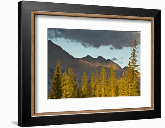 Sunset, from Kicking Horse River, Canadian Rockies, Yoho National Park, British Columbia, Canada-Michel Hersen-Framed Photographic Print