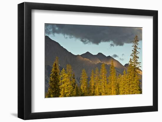 Sunset, from Kicking Horse River, Canadian Rockies, Yoho National Park, British Columbia, Canada-Michel Hersen-Framed Photographic Print