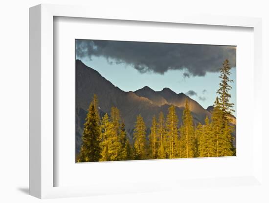 Sunset, from Kicking Horse River, Canadian Rockies, Yoho National Park, British Columbia, Canada-Michel Hersen-Framed Photographic Print