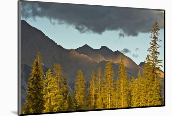 Sunset, from Kicking Horse River, Canadian Rockies, Yoho National Park, British Columbia, Canada-Michel Hersen-Mounted Photographic Print