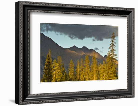 Sunset, from Kicking Horse River, Canadian Rockies, Yoho National Park, British Columbia, Canada-Michel Hersen-Framed Photographic Print