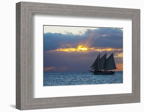 Sunset from Malory Square with Sailboat-Terry Eggers-Framed Photographic Print