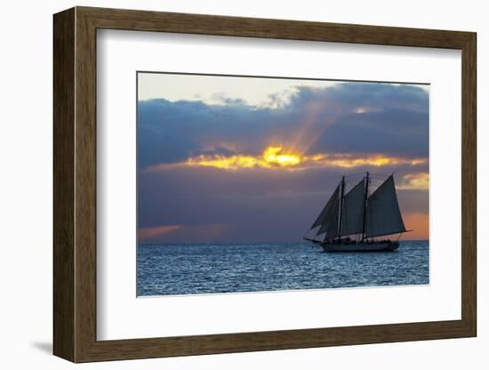 Sunset from Malory Square with Sailboat-Terry Eggers-Framed Photographic Print