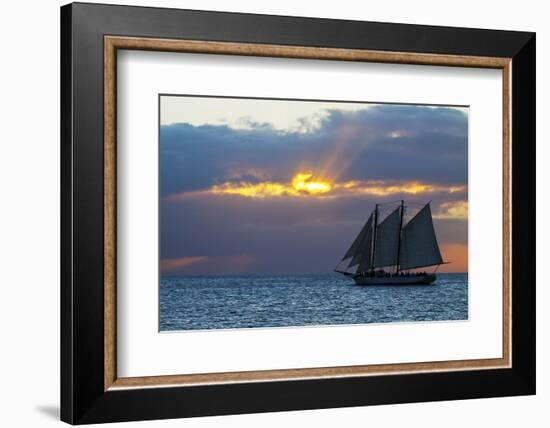 Sunset from Malory Square with Sailboat-Terry Eggers-Framed Photographic Print