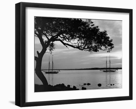 Photo, , large