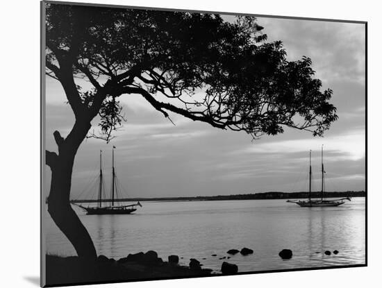 Photo, , large