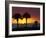 Sunset from Siesta Beach, Siesta Key, Sarasota, Florida, United States of America, North America-Tomlinson Ruth-Framed Photographic Print