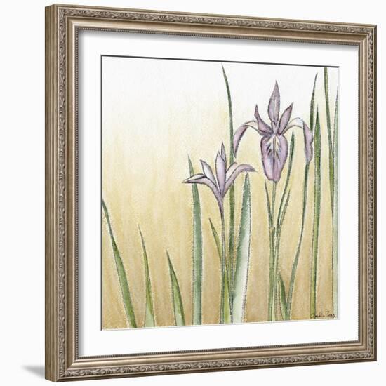 Sunset Garden I-Chariklia Zarris-Framed Art Print