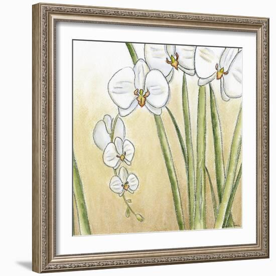 Sunset Garden II-Chariklia Zarris-Framed Art Print