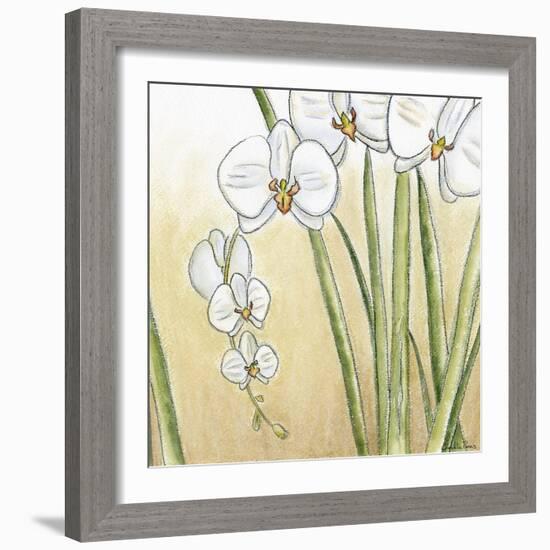 Sunset Garden II-Chariklia Zarris-Framed Art Print