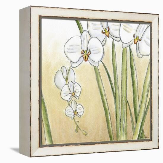 Sunset Garden II-Chariklia Zarris-Framed Stretched Canvas