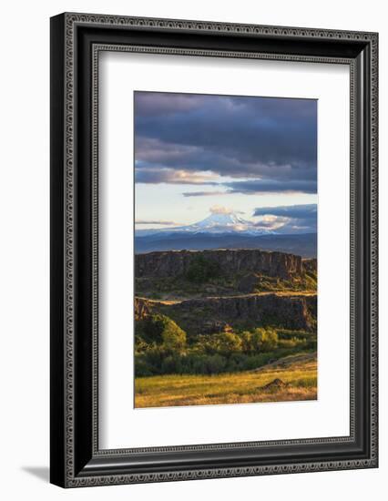Sunset glow on tiered hills with snow-covered Mt. Hood in background-Sheila Haddad-Framed Photographic Print