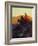 Sunset Glow-Frank Tenney Johnson-Framed Giclee Print