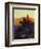 Sunset Glow-Frank Tenney Johnson-Framed Giclee Print