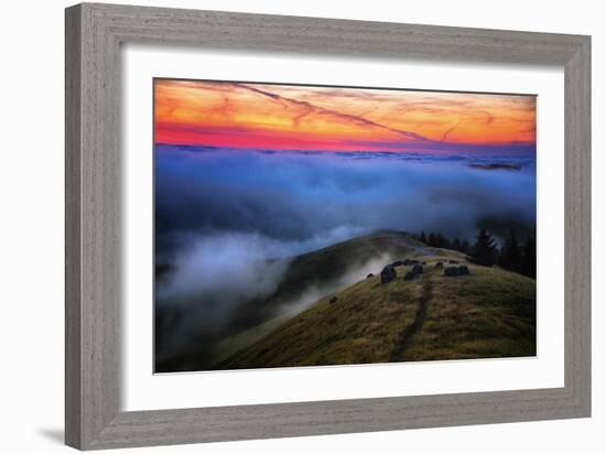 Sunset Gold Above The Fog In Heaven Mount Tamalpais Marin California-Vincent James-Framed Photographic Print