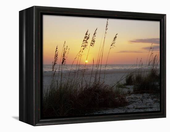 Sunset, Gulf Coast, Longboat Key, Anna Maria Island, Beach, Florida, USA-Fraser Hall-Framed Premier Image Canvas