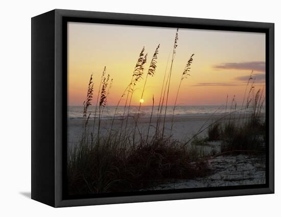 Sunset, Gulf Coast, Longboat Key, Anna Maria Island, Beach, Florida, USA-Fraser Hall-Framed Premier Image Canvas