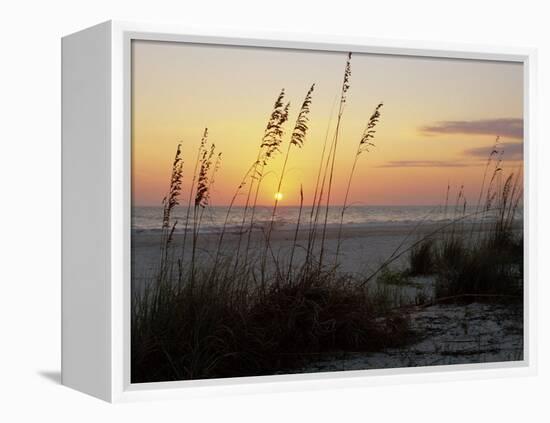 Sunset, Gulf Coast, Longboat Key, Anna Maria Island, Beach, Florida, USA-Fraser Hall-Framed Premier Image Canvas