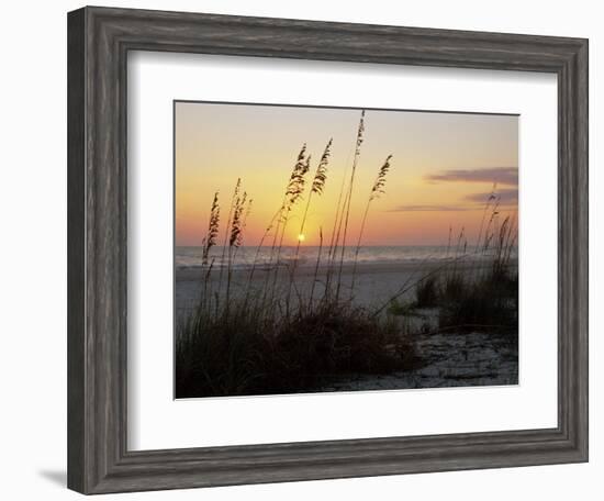 Sunset, Gulf Coast, Longboat Key, Anna Maria Island, Beach, Florida, USA-Fraser Hall-Framed Photographic Print