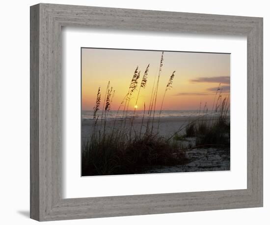 Sunset, Gulf Coast, Longboat Key, Anna Maria Island, Beach, Florida, USA-Fraser Hall-Framed Photographic Print